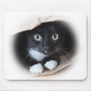 Katt i en hänga lös musmatta