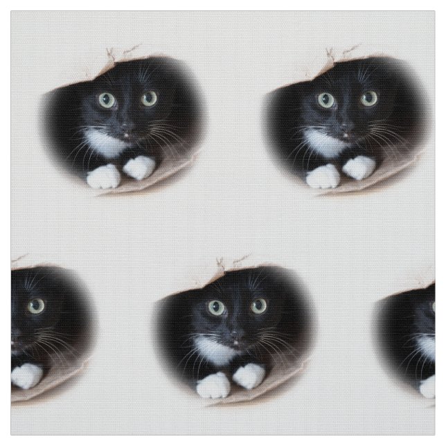 Katt i en hänga lös tyg (Provkarta)