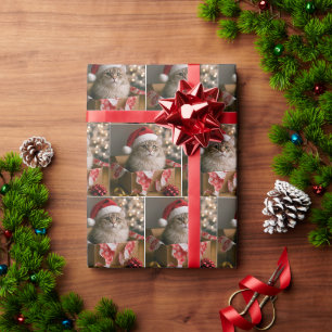 Katt i en julklappslåda presentpapper