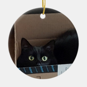 Katt i en låda julgransprydnad keramik
