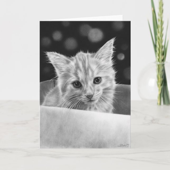 Katt i en låda kort (Framsida)