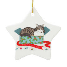 Katt i en låda personlig Julgran ornament