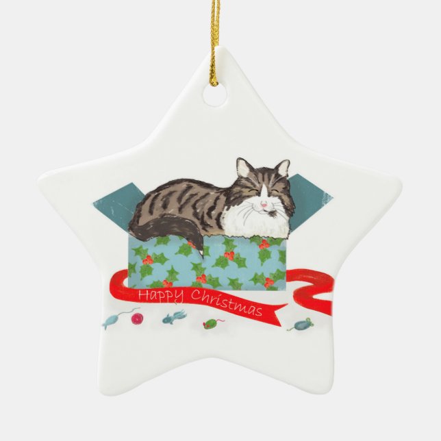 Katt i en låda personlig Julgran ornament (Framsidan)
