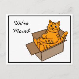 Katt i en låda "Vi flyttar" Ny adress Meddelande Vykort