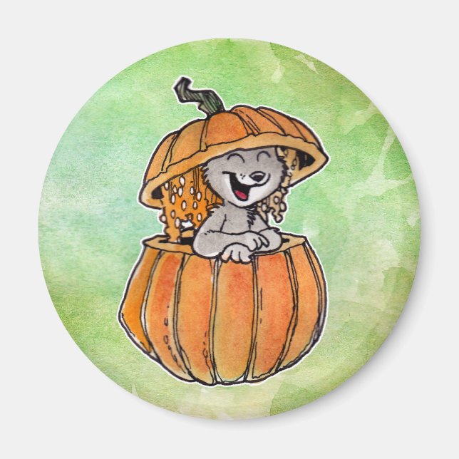 Katt i en Pumpkin Magnet (Framsidan)