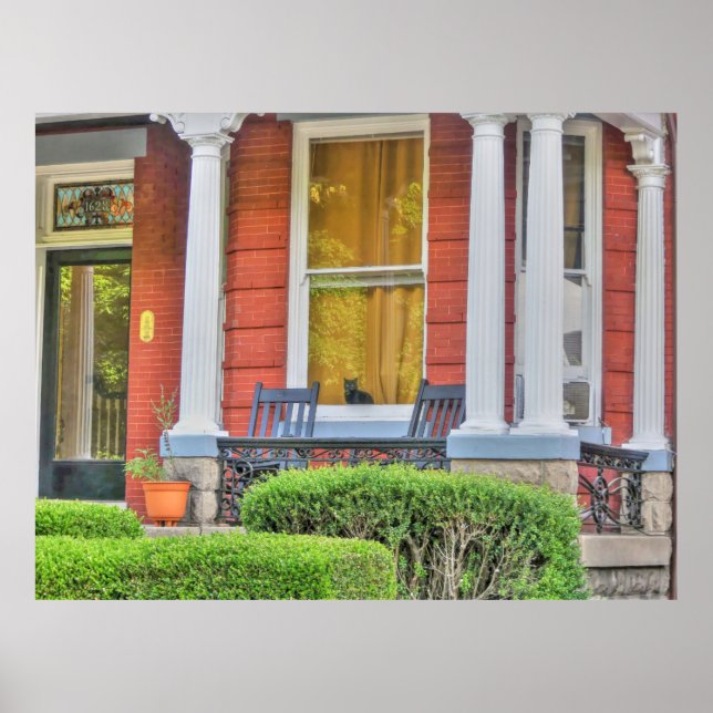 Katt i ett fönster poster (Framsidan)