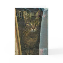 Katt i ett fönster som reflekterar dina tankar