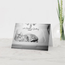 Katt i ett Sink, Retro Kitten Birthday-Kattdjur Helgkort