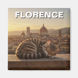 Katt i Florence Italien Duomo Travel Magnet