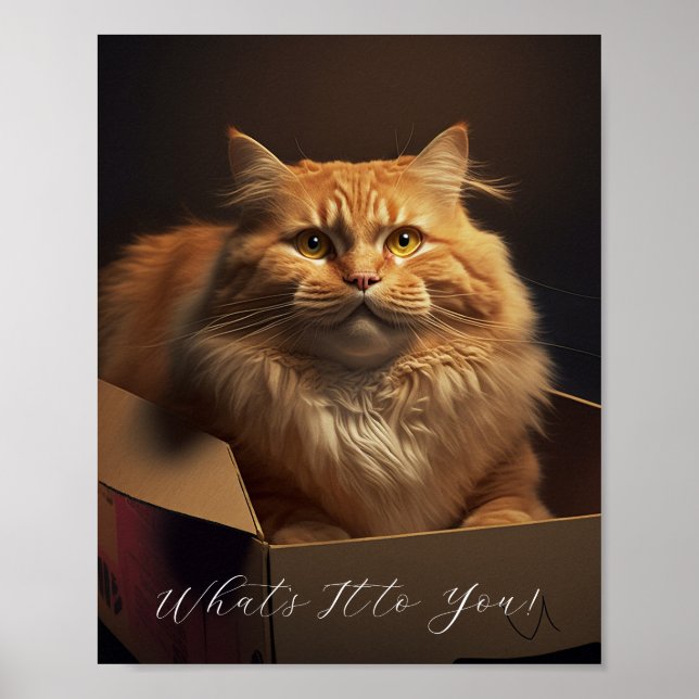 Katt i foderlådan - Sarkastisk katt Poster (Framsidan)