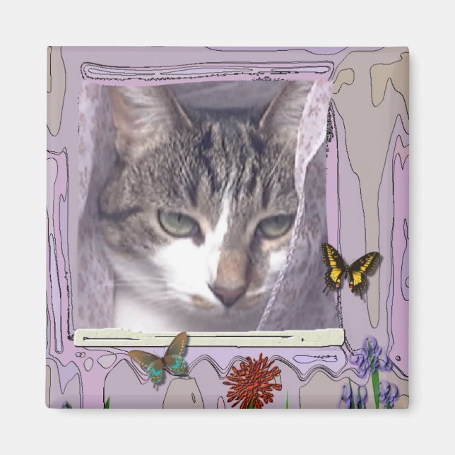 Katt i fönster magnet (Framsidan)