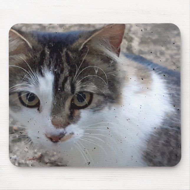 Katt i fönstret musmatta (Framsidan)