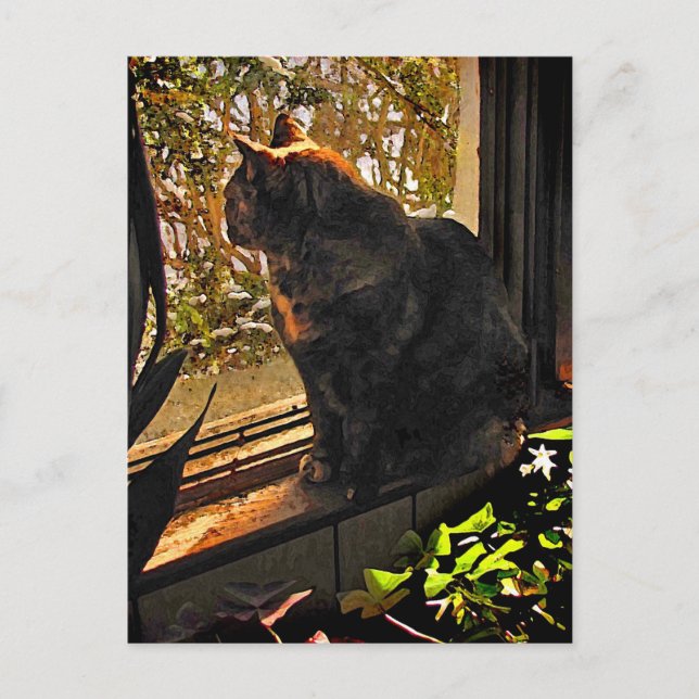 Katt i fönstret vykort (Framsida)