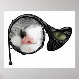 katt i fransk horn poster