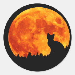 Katt i fullt Måne Runt Klistermärke