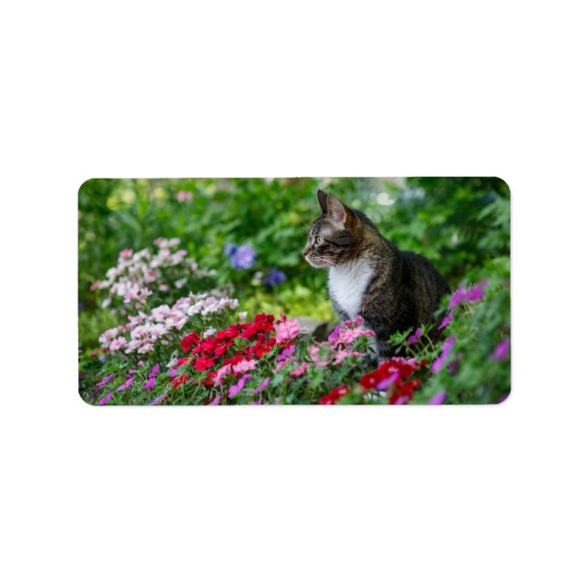 Katt i Garden Adressetikett (Framsidan)