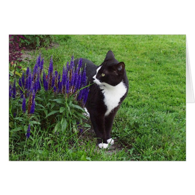 Katt i Garden Hälsningskort (Framsidan Horizontal)