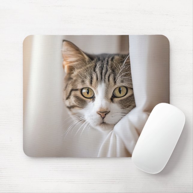 Katt i gardiner musmatta (Med mus)
