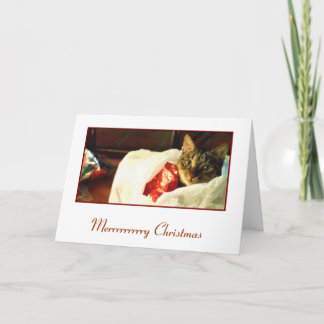 Katt i hänga lösjulkortet helgkort