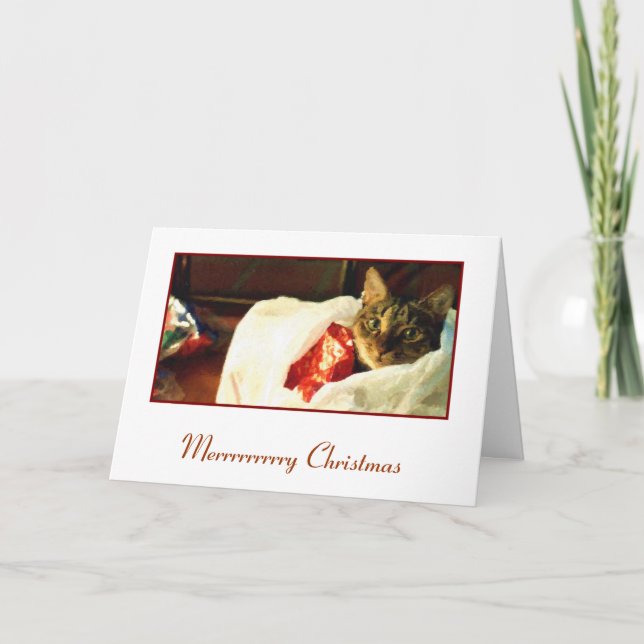 Katt i hänga lösjulkortet helgkort (Framsida)