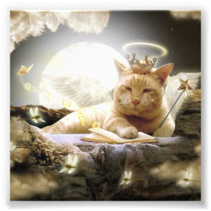 Katt i himmelfoto. fototryck