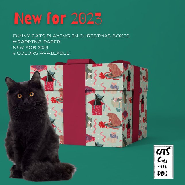 Katt i julboxar presentpapper (For cats the boxes ARE Christmas!)