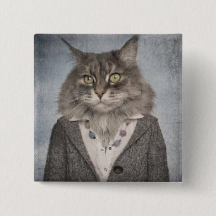 Katt i kläder knapp