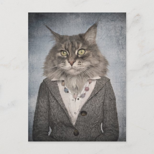 Katt i kläder vykort (Framsida)