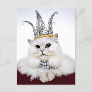 Katt i Krona Inbjudan Vykort