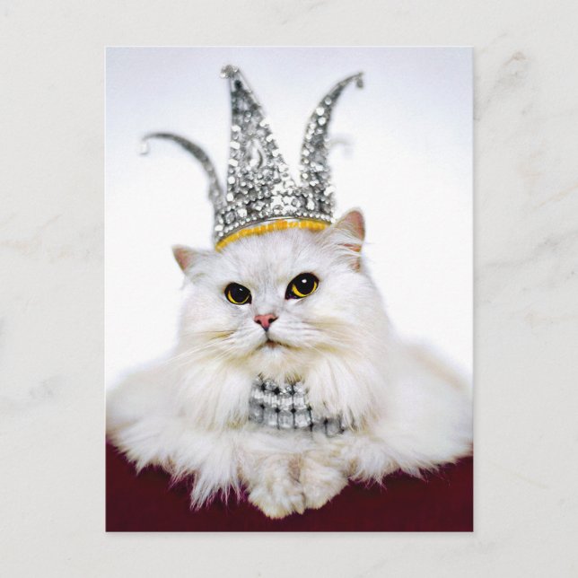 Katt i Krona Inbjudan Vykort (Framsida)