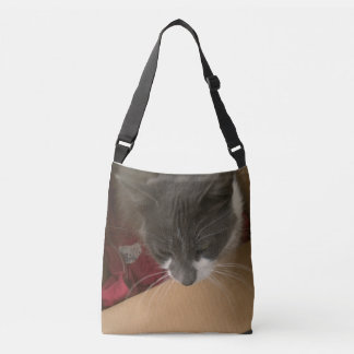 Katt i lådan axelväska