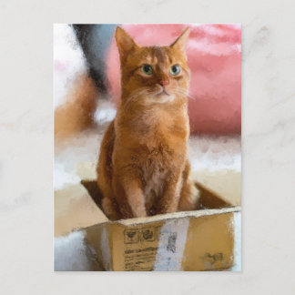 Katt i lådan Cute Kitten Digital Art Vykort