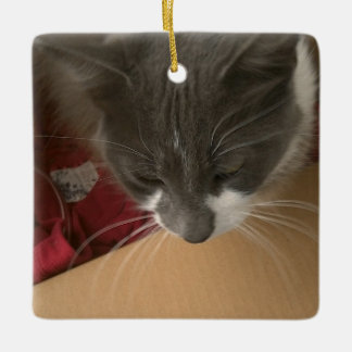 Katt i lådan julgransprydnad keramik