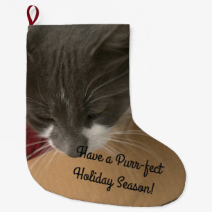 Katt i lådan stor julstrumpa
