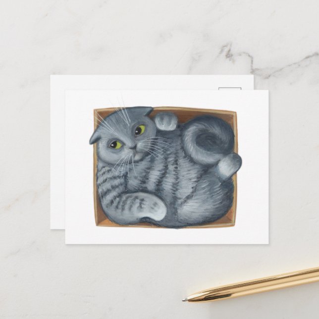 Katt i lådan vykort (Fram/Back In Situ)