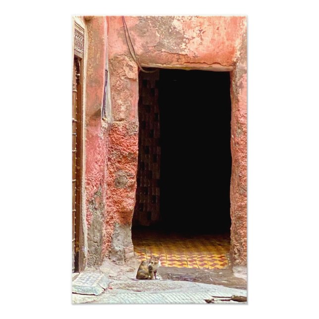 Katt i Medina-Marrakech, Marocko Fototryck (Framsidan)