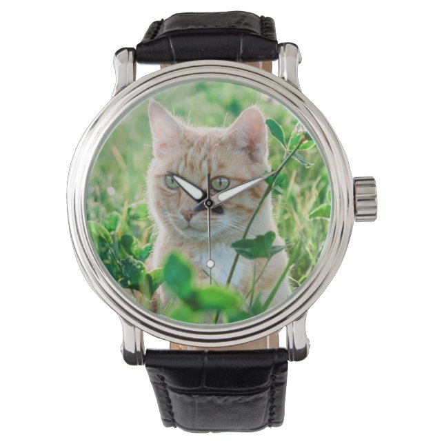 Katt i naturen armbandsur (Framsida)
