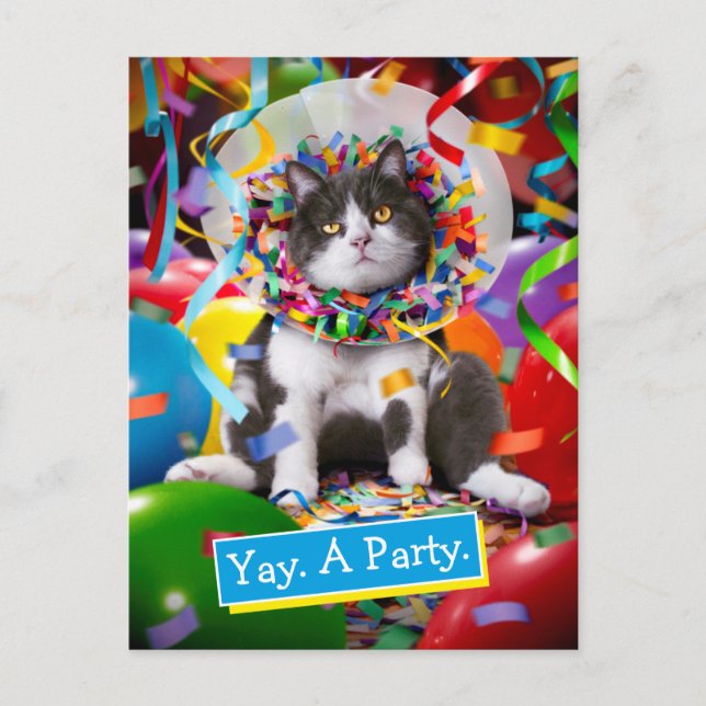 Katt i Party Cone Inbjudan Vykort (Framsida)