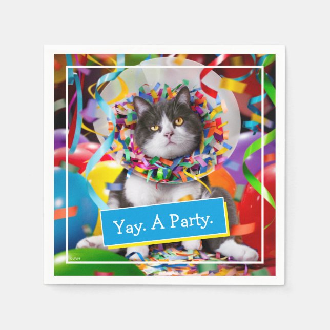 Katt i Party Cone Pappersservett (Framsidan)