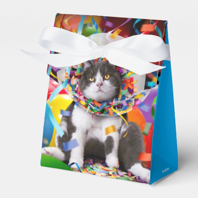 Katt i Party Cone Presentaskar (Framsidan Sidan)