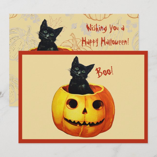 Katt i pumpa julkort (Fram/baksida)