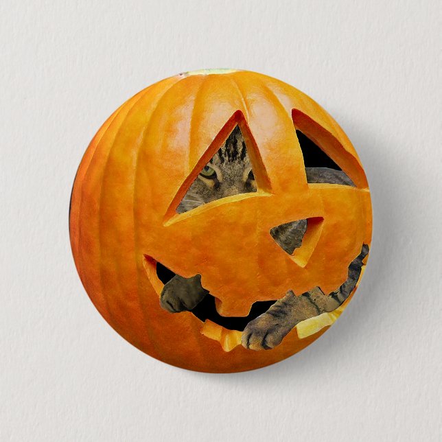 Katt i Pumpkin Knapp (Framsida)