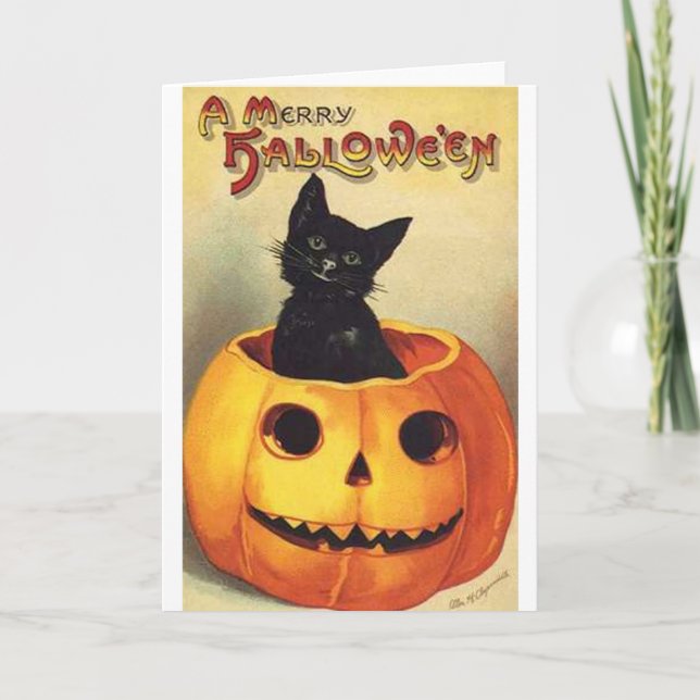 Katt i Pumpkin Kort (Framsida)