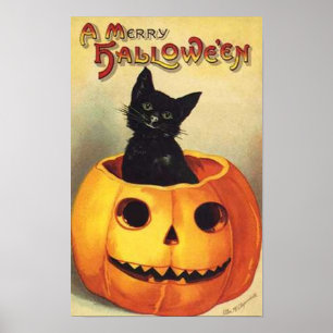 Katt i Pumpkin Poster