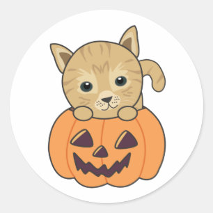 Katt i Pumpkin Sweet Cats Happy halloween Classic Runt Klistermärke
