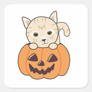 Katt i Pumpkin Sweet Cats Happy halloween Fyrkantigt Klistermärke