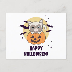 Katt i Pumpkin Sweet Cats Happy halloween Vykort