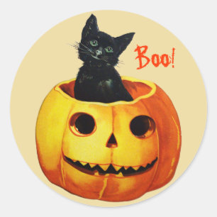 Katt i Pumpkin Vintage Halloween Stickers Runt Klistermärke