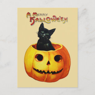 Katt i Pumpkin Vintage Halloween-vykort Vykort