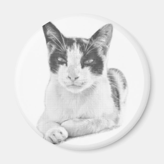 Katt i randigt tryck magnet (Framsidan)